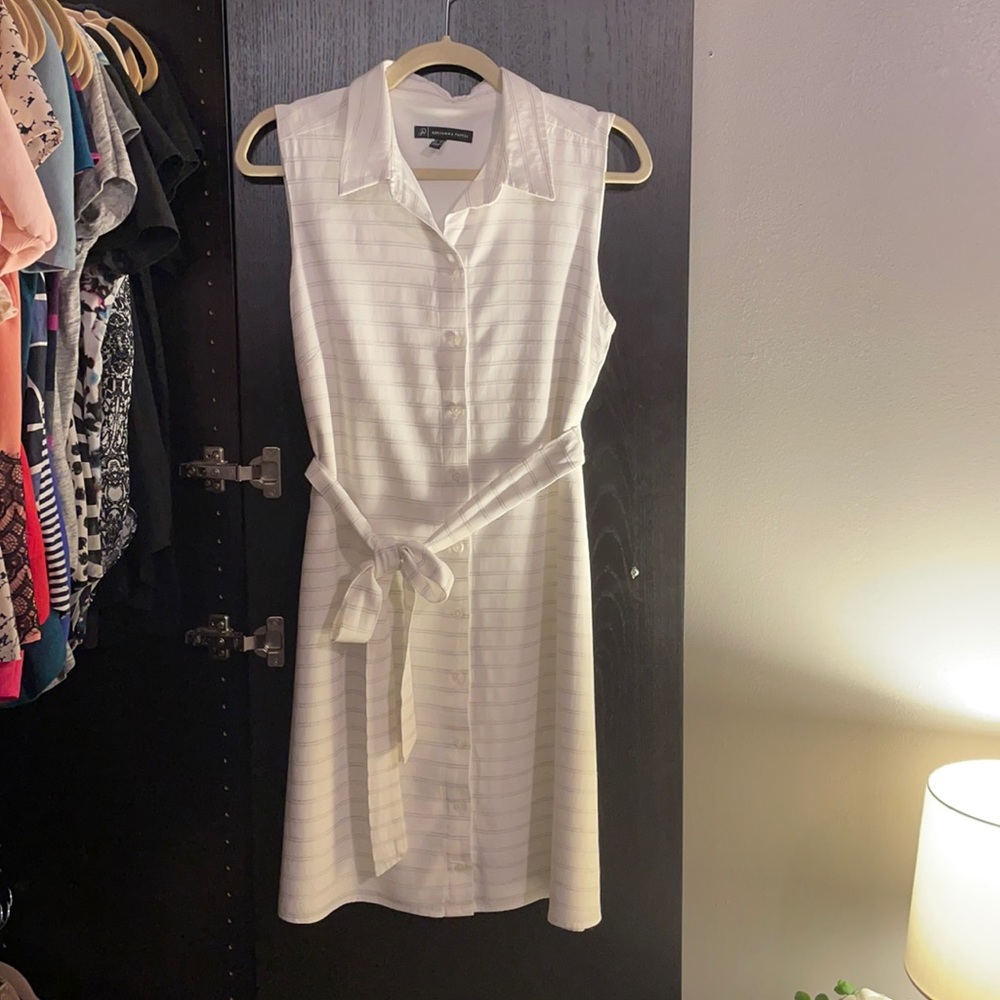 Adrianna Papell Button Down Sleeveless Dress